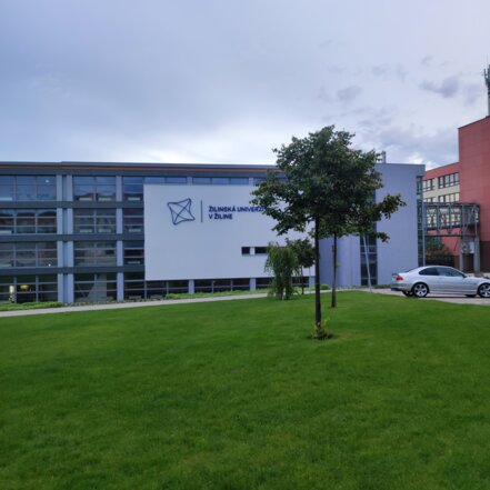 Lipa malolistá Green Globe, Tilia cordata, + 180 cm, kontajner 7l