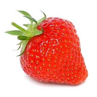 Jahoda veľkoplodá Dukat, FRAGARIA × GRANDIFLORA, 10 zakorenených kusov