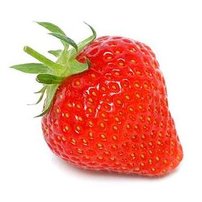 Jahoda veľkoplodá Dukat, FRAGARIA × GRANDIFLORA, 10 zakorenených kusov