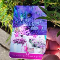 Azalka japonská Star Style, Rhododendron obtusum, kont. 2l